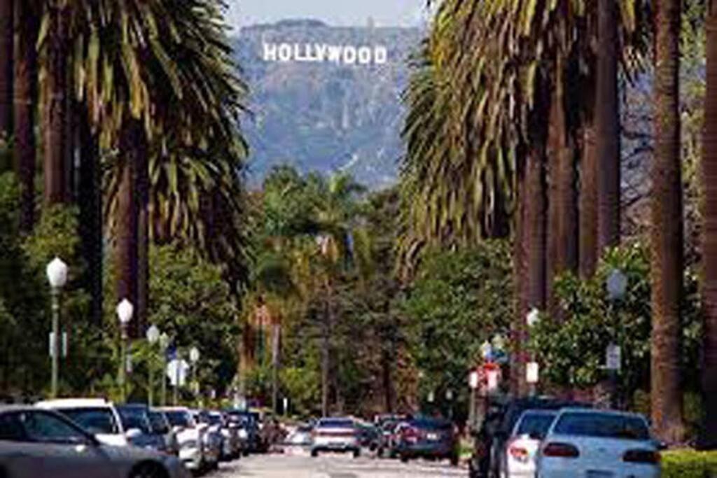 Apartamento Hollywood Business